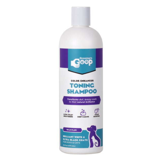 Color Enhancer Toning Shampoo 16oz